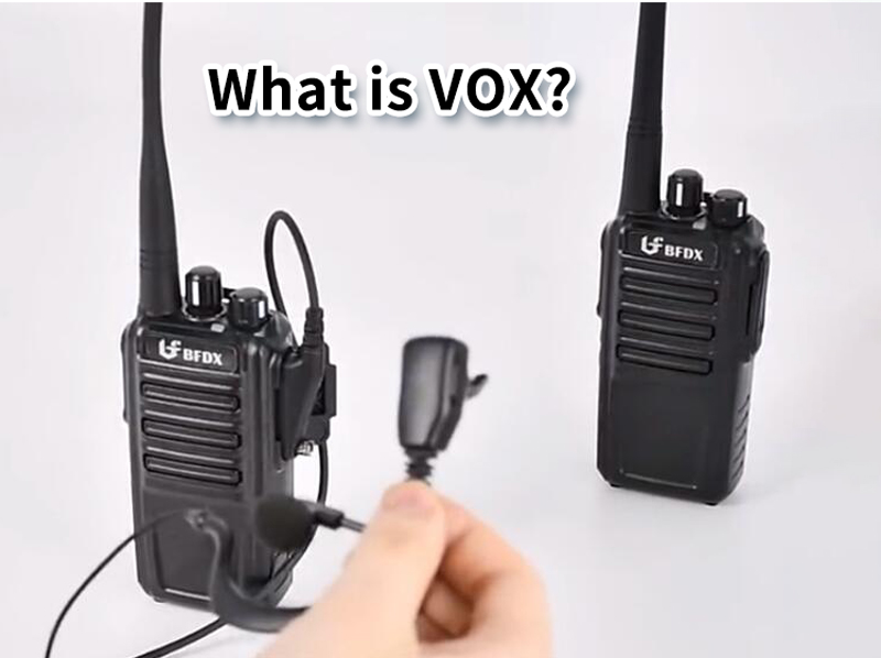 vox radio meaning